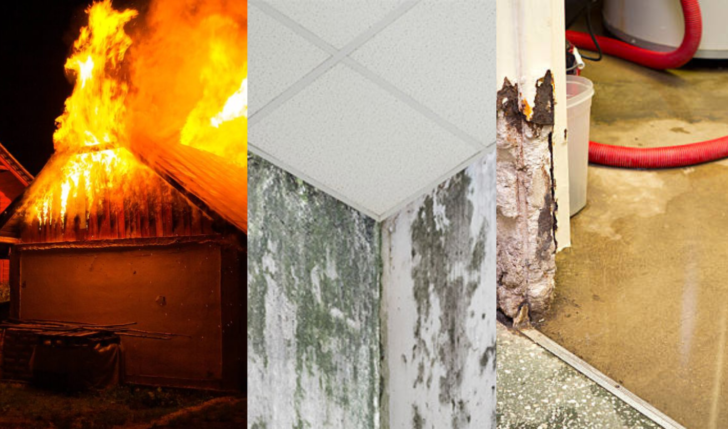 Disaster Restoration Services: Fire, mold, and water damage recovery.