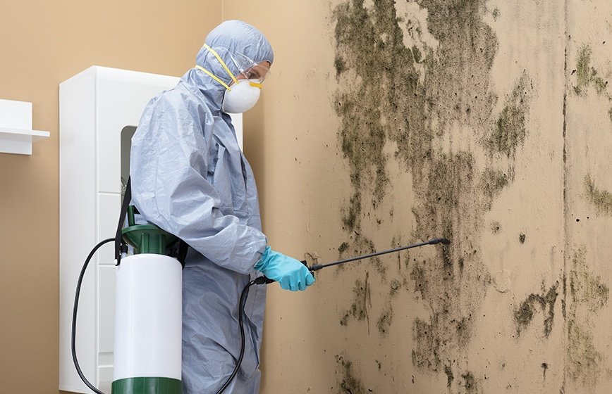 Mold Prevention and Remediation: Safeguarding Your Home