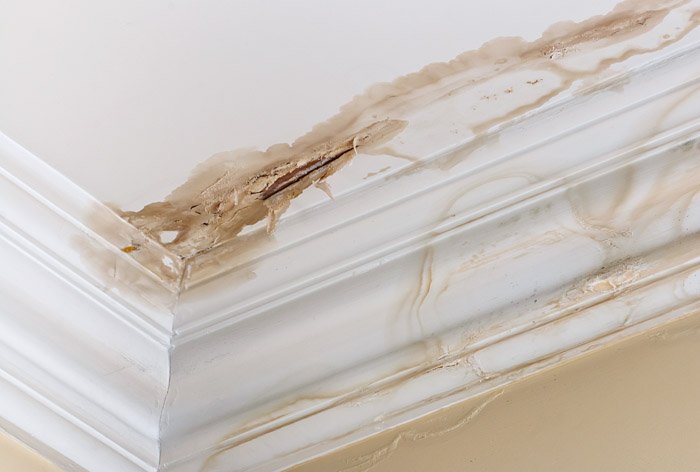Hidden water damage in your home
